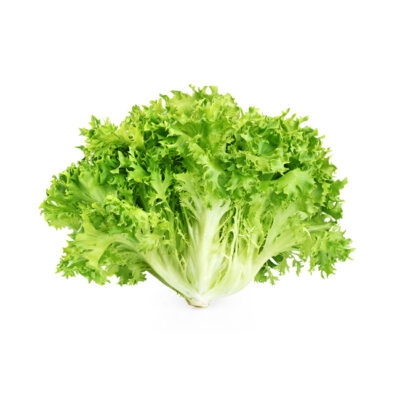 escarola frise