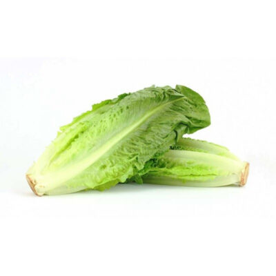 lechuga larga