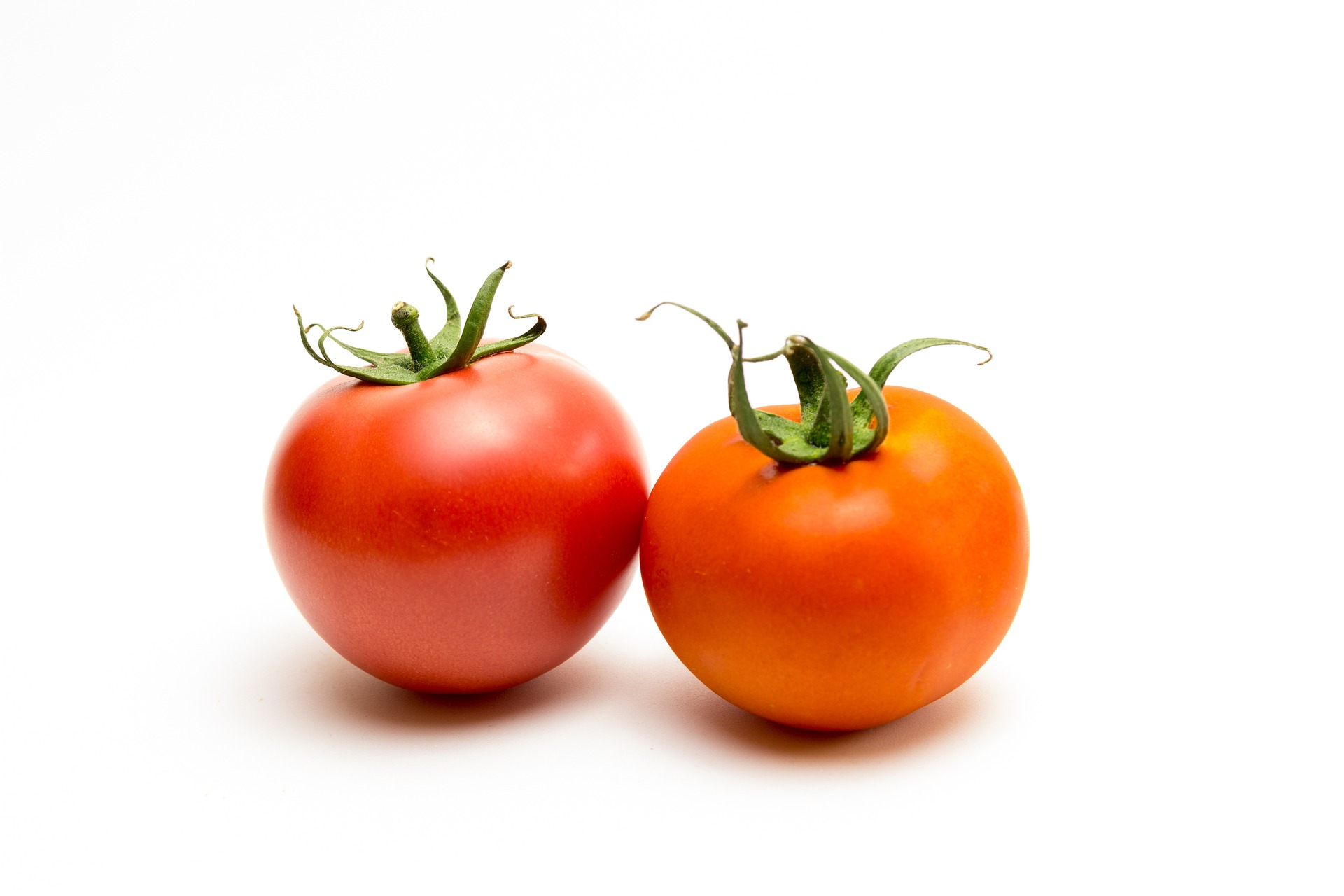 tomato 1620465 1920
