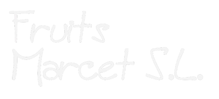 lo nombre vectorized negat removebg preview
